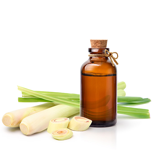 Citronella Oil